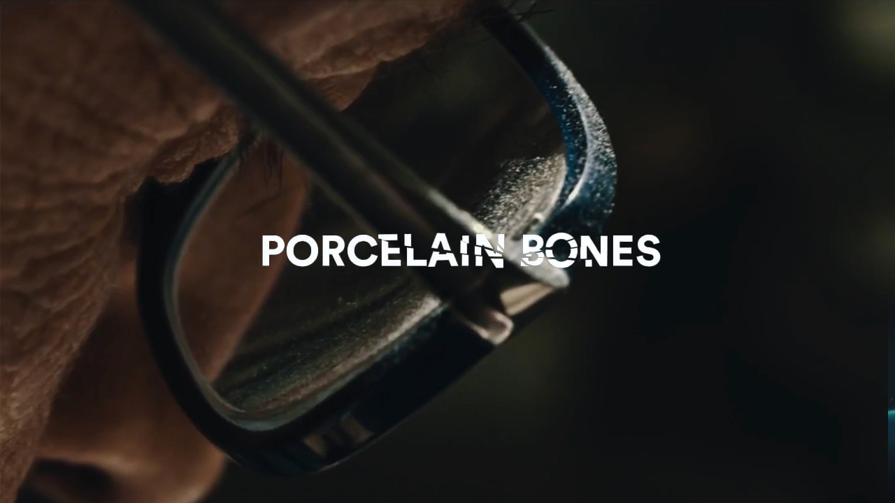 PORCELAIN BONES